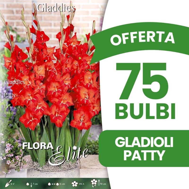 foto del prodotto peragashop offerta 45 bulbi gladioli gladdies patty bulbi bulbs bulbes primaverili