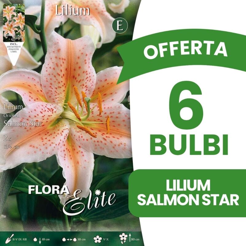 foto del prodotto peragashop bulbi primaverili offerta 6 bulbi lilium oriental salmon star bulbs