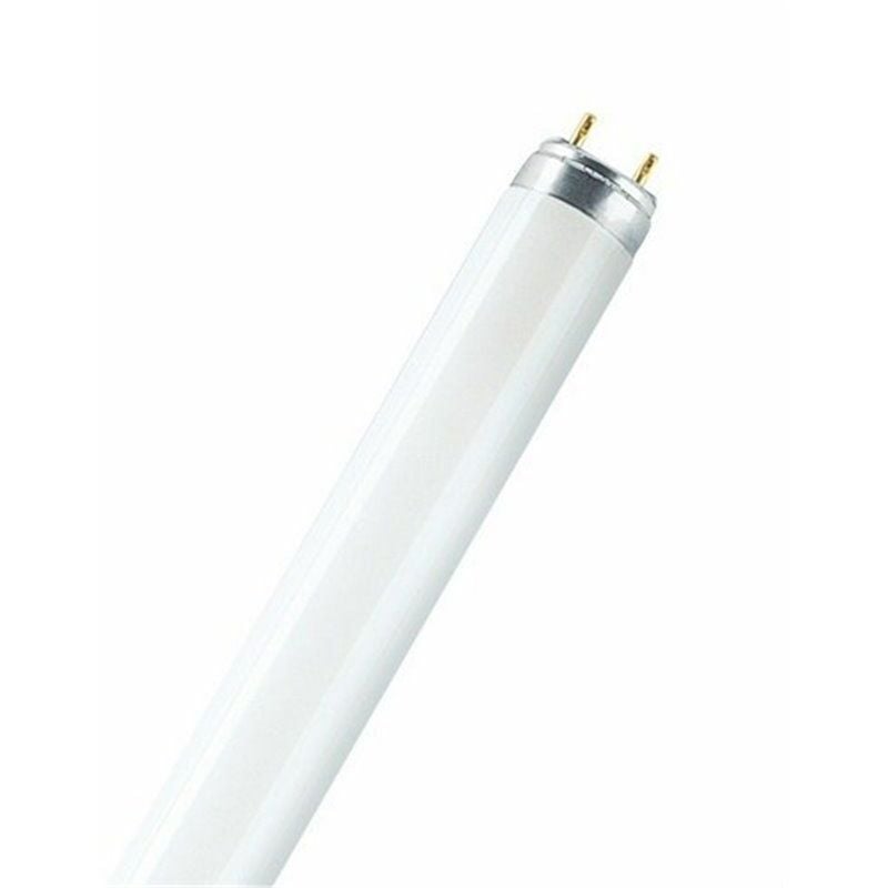 foto del prodotto 4050300518015 tubo fluorescente t8 30w 865 osram