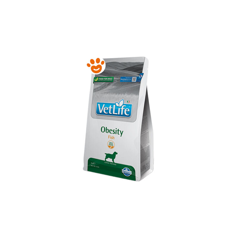 foto del prodotto dog vet life obesity sacco da 2 kg farmina