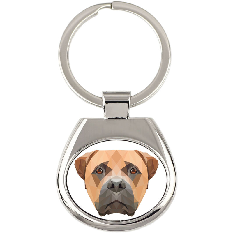 foto del prodotto bullmastiff, bulmastiff portachiavi geometrico con foto e scritta art dog