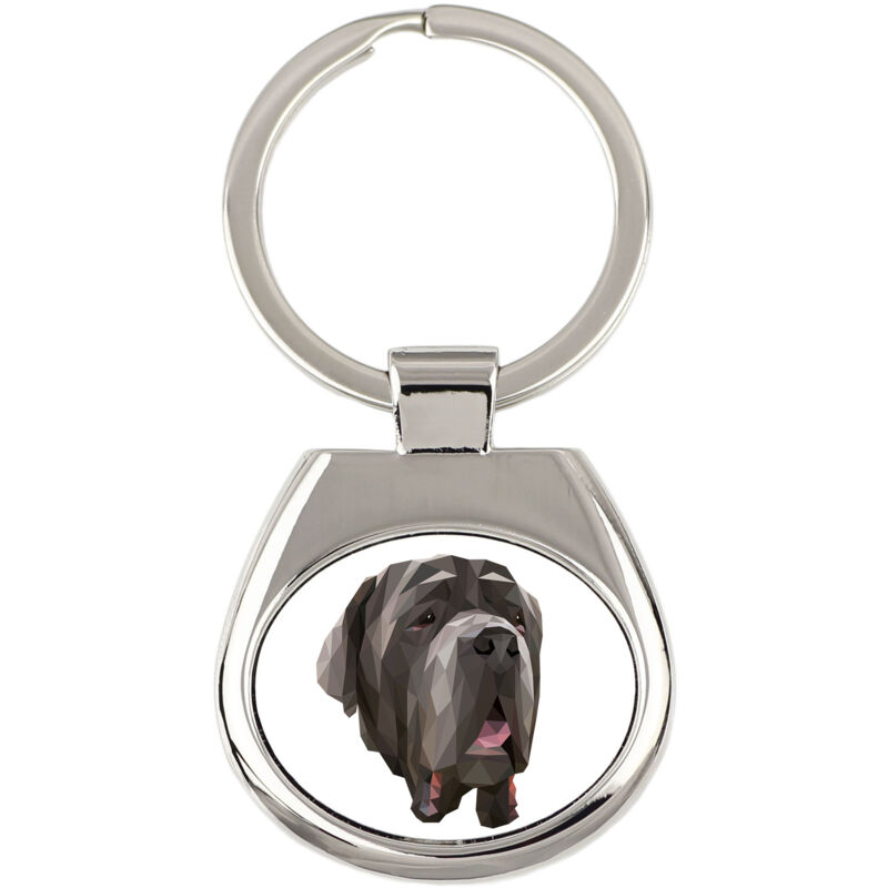 foto del prodotto mastino napoletano, mastino napoletano, mastino napoletano portachiavi geometrico con foto e scritta art dog
