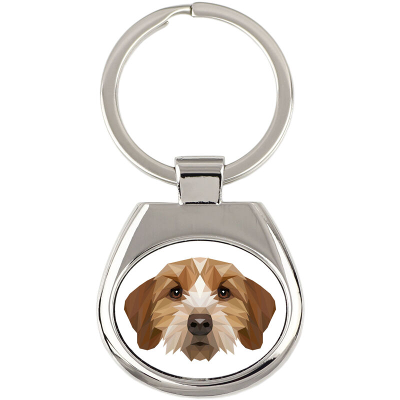 foto del prodotto basset breton, basset fauve de bretagne portachiavi geometrico con foto e scritta art dog