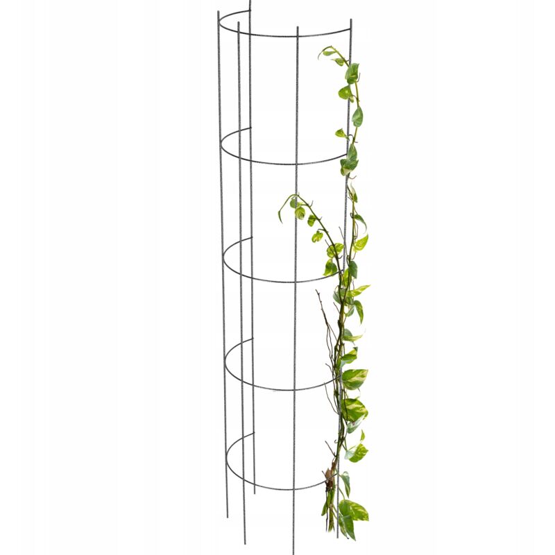 foto del prodotto colonna per pergola da giardino kadax per fiori rosa 120 cm