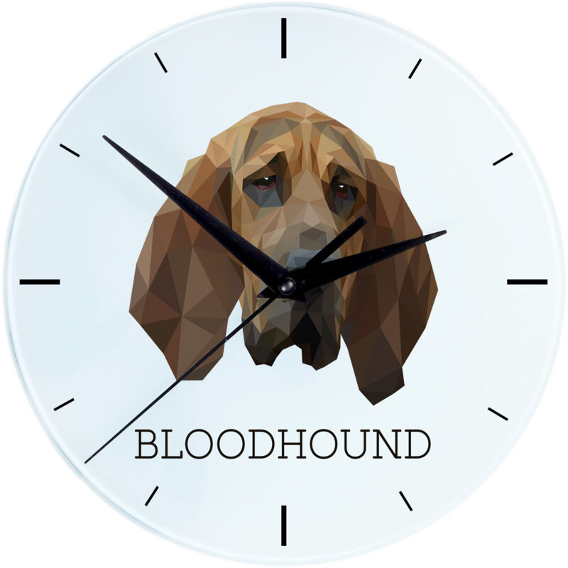 foto del prodotto bloodhound, il cane di saint huberta orologio da parete geometrico con foto e scritta di art dog