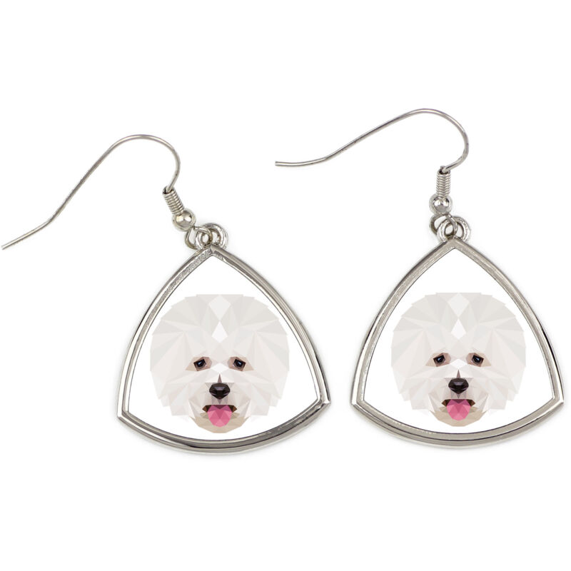foto del prodotto bichon frise, tenerife dog orecchini con foto e scritta geometrica cane art dog