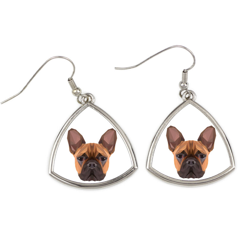 foto del prodotto bulldog francese orecchini con foto e scritta geometrica cane art dog
