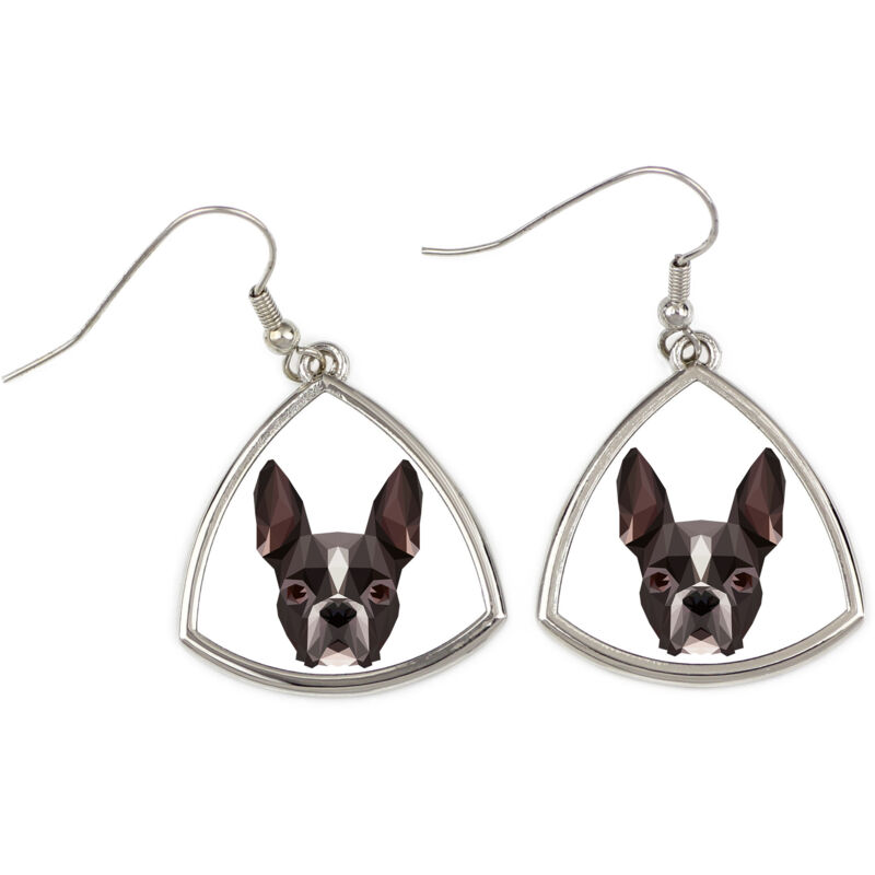 foto del prodotto boston terrier, boston bull terrier orecchini con foto e scritta geometrica cane art dog