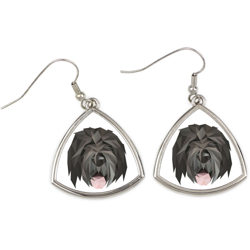 foto del prodotto terrier nero russo, terrier nero russo orecchini con foto e scritta cane geometrico art dog