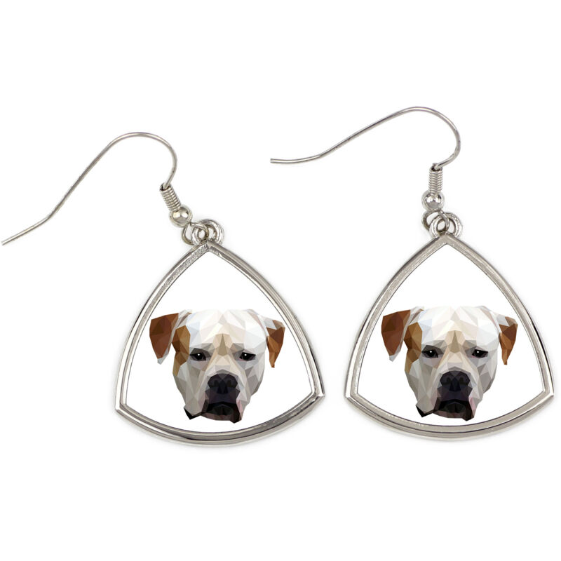 foto del prodotto american bulldog orecchini con foto e scritta geometrica cane art dog