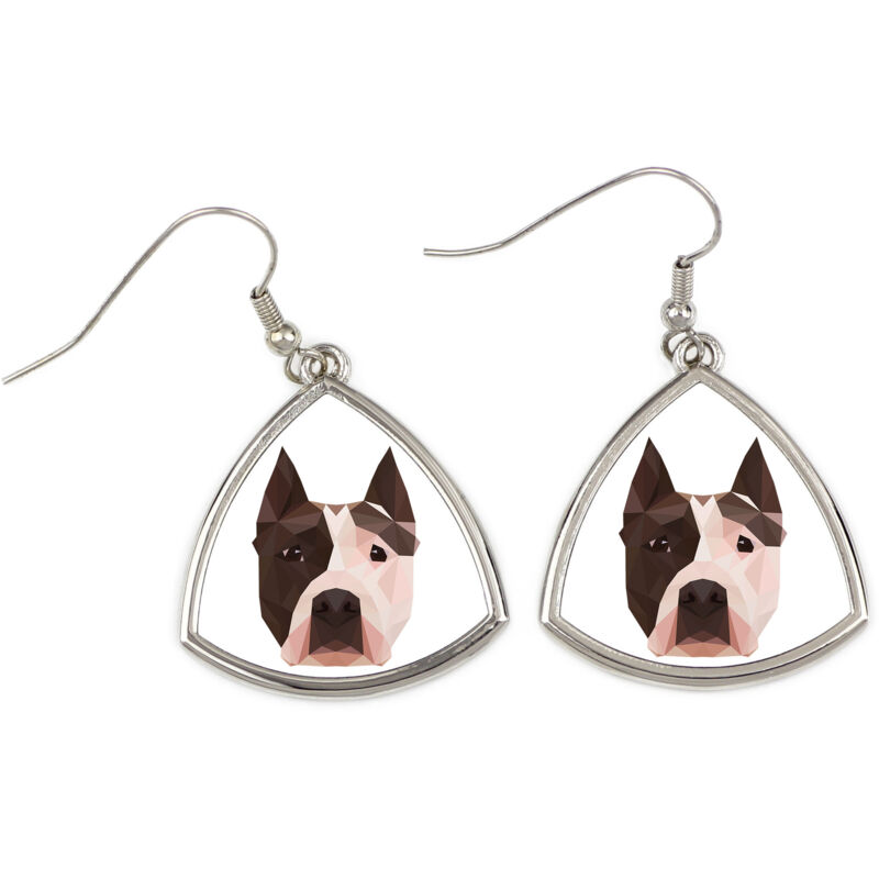 foto del prodotto american staffordshire terrier, amstaff, amstaf orecchini con foto e scritta geometrica cane art dog