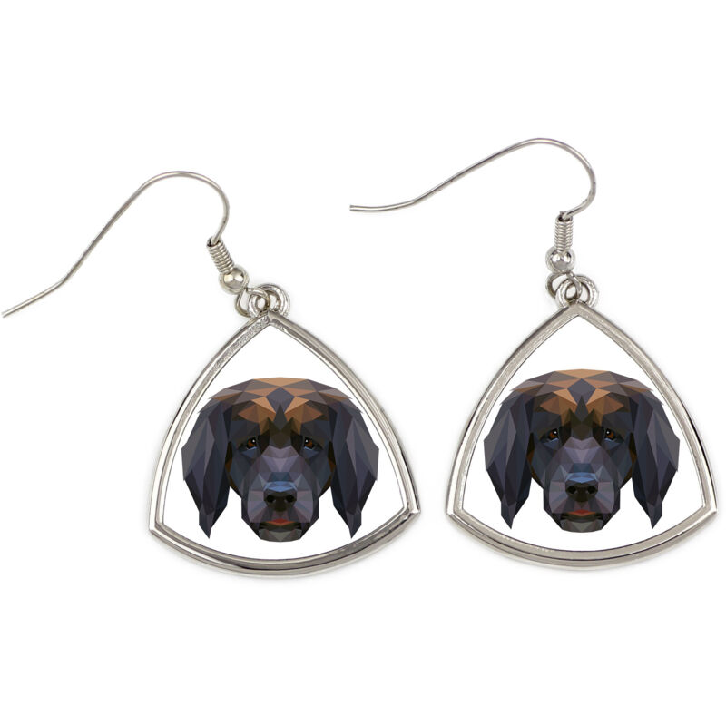foto del prodotto leonberger orecchini con foto e scritta cane geometrico art dog