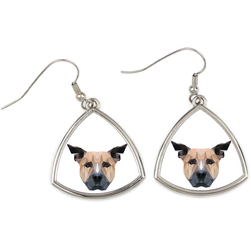 foto del prodotto staffordshire bull terrier, staffik, staffi orecchini con foto e scritta geometrica cane art dog