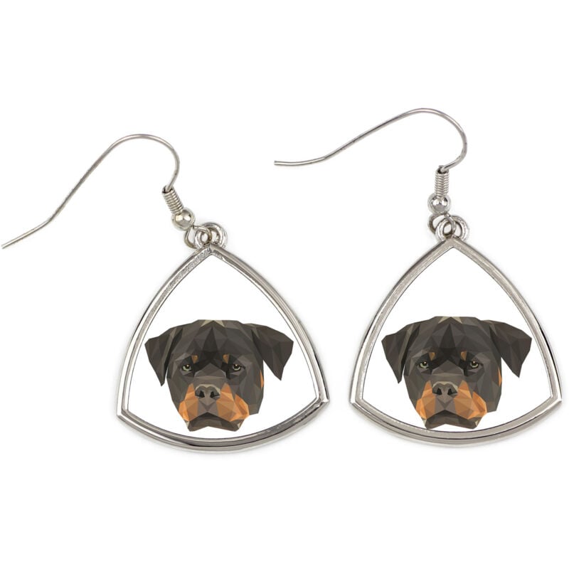 foto del prodotto rottweiler orecchini con foto e scritta geometrica cane art dog