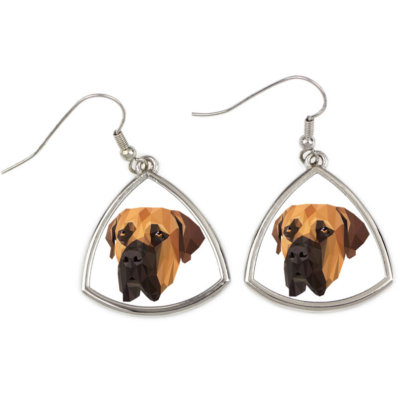 foto del prodotto boerboel, mastino sudafricano orecchini con foto e scritta cane geometrico art dog