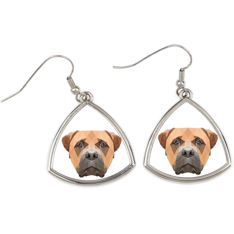 foto del prodotto bullmastiff, bulmastiff orecchini con foto e scritta geometrica cane art dog