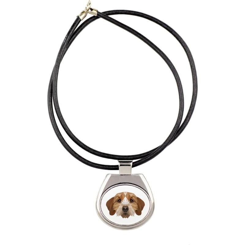 foto del prodotto basset breton, basset fauve de bretagne collana con foto e iscrizione geometrica di art dog