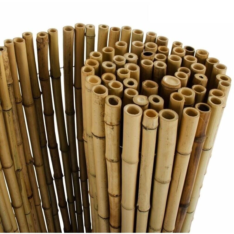 foto del prodotto canniccio bamboo big canna 20 30mm h200 x 3mt frangivista ombra