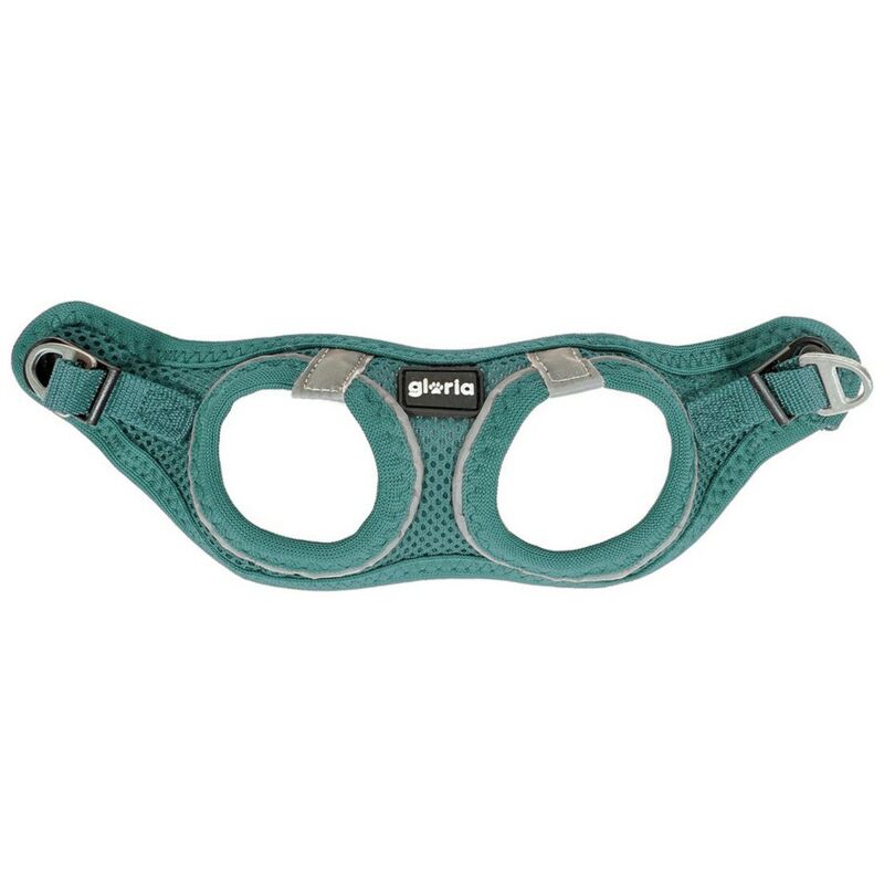 foto del prodotto pettorina per cani gloria air mesh trek star regolabile turchese taglia xxxs 18 20 cm 