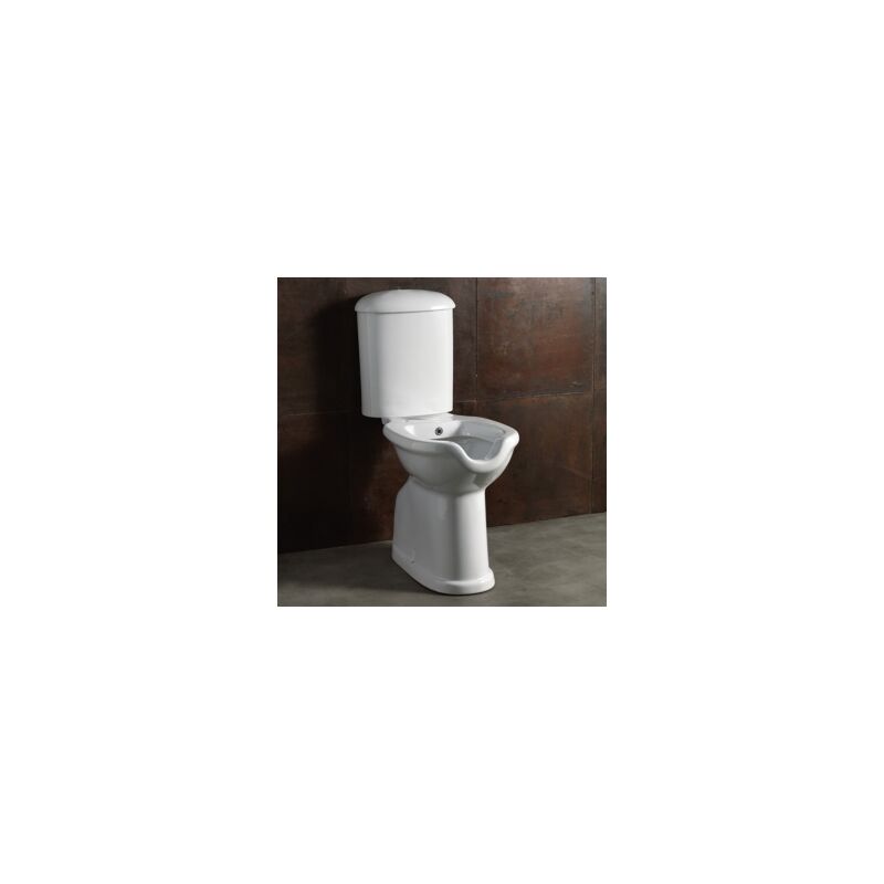 foto del prodotto water bidet comfort monoblocco disabili scarico parete con