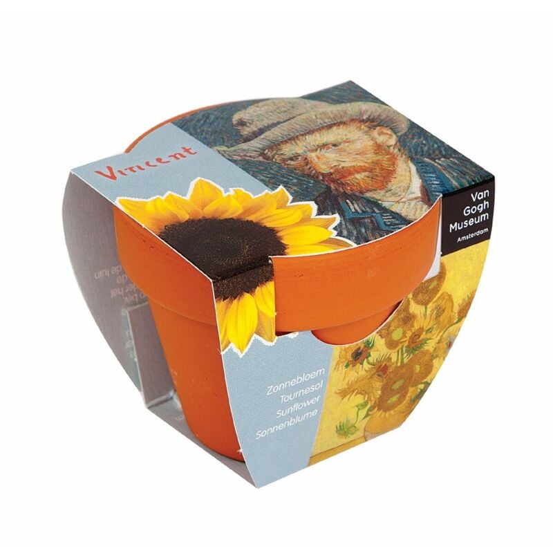 foto del prodotto vaso per la semina di girasole van gogh lotto di 2