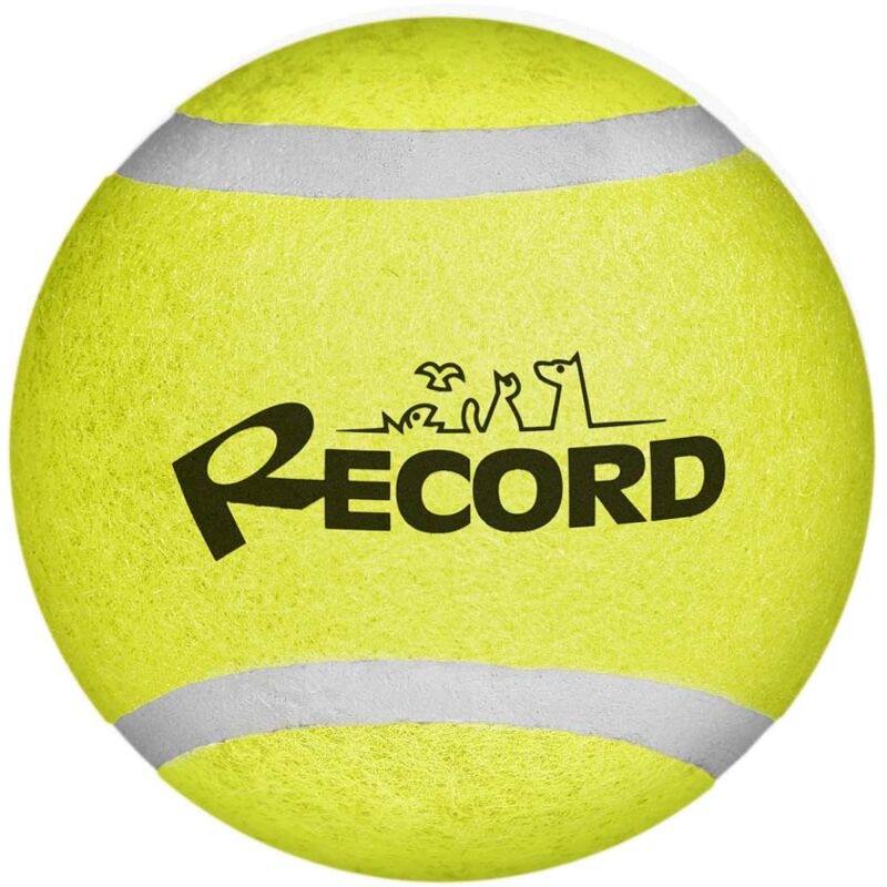 foto del prodotto palla da tennis mini diametro 5 cm per cani