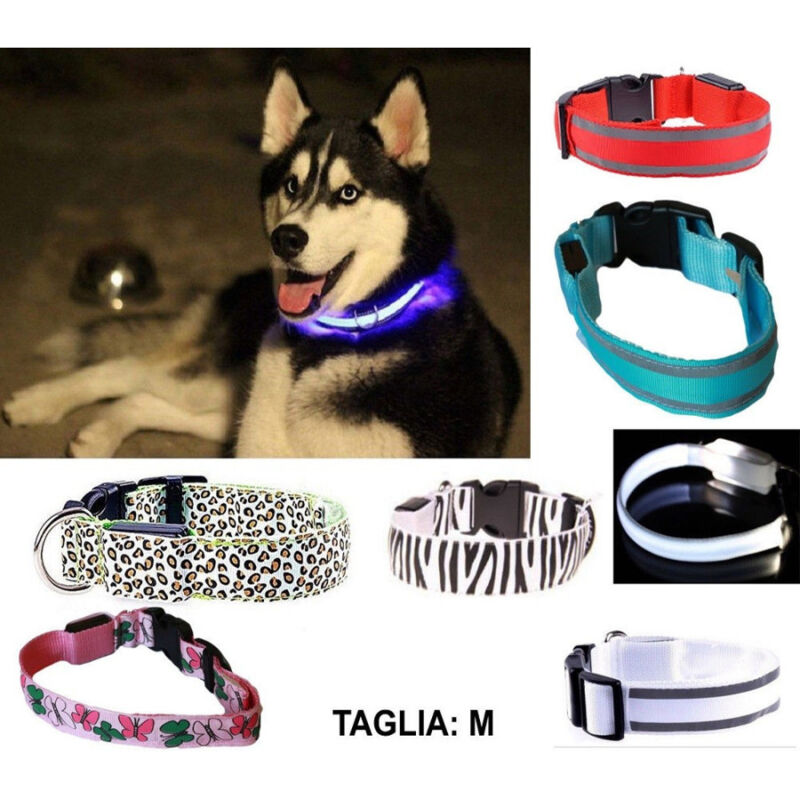 foto del prodotto trade shop traesio collare per cane cani a led luminoso sicurezza led notturno clip fantasia tg.m 