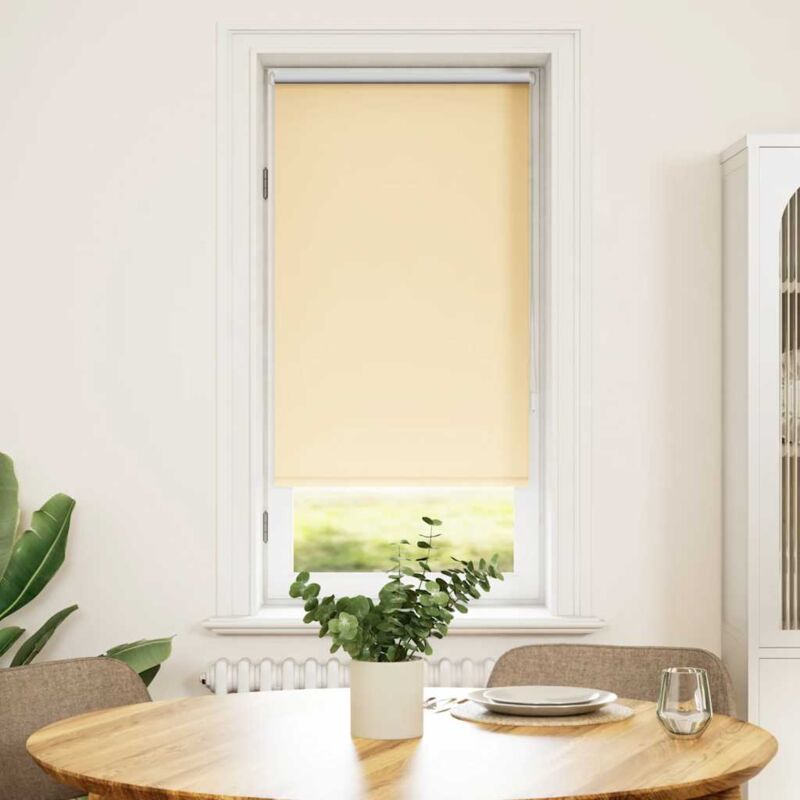 foto del prodotto vidaxl tenda oscurante a rullo 60 x 120 cm beige