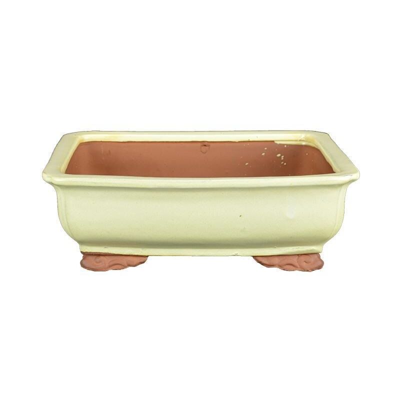 foto del prodotto vaso bonsai rettangolare smaltato avorio 25,5 cm