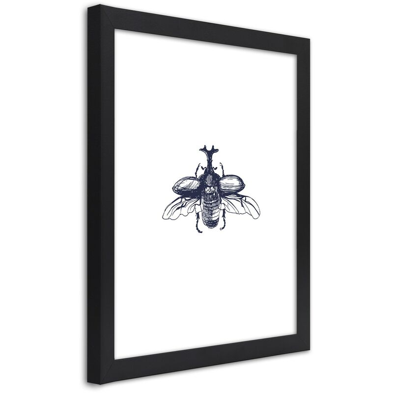 foto del prodotto gbshop quadro con cornice, scarabeo volante 20x30