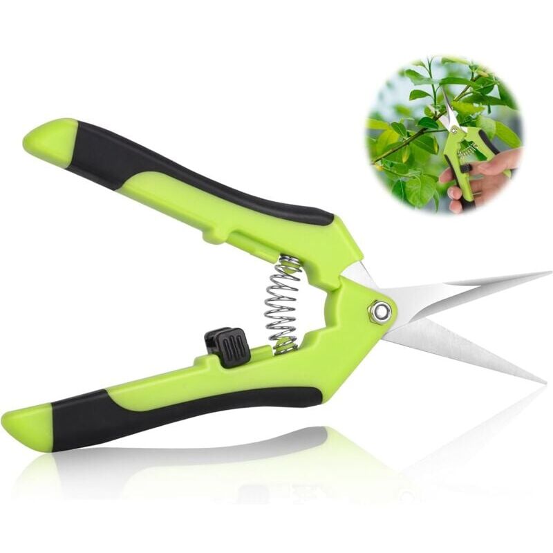 foto del prodotto snq s cateurs de jardin, cisailles de jardin, s cateurs de jardin ergonomiques, ciseaux bonsa , s cateur plante, fleur, branche, rose, bonsa ,