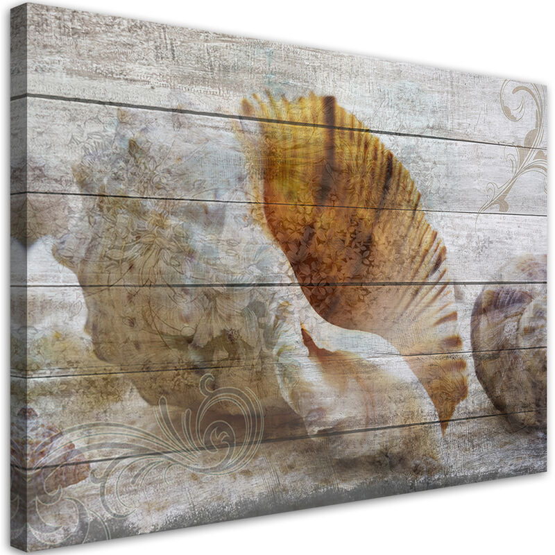 foto del prodotto gbshop quadro su tela, conchiglie in stile vintage 60x40