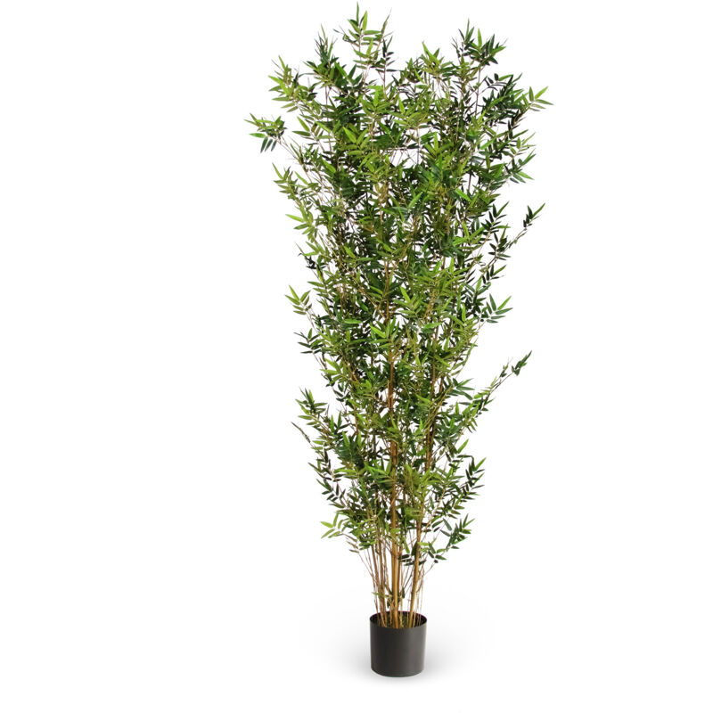 foto del prodotto verdevip bamboo orientale semi naturale verde canne naturali h 210 cm