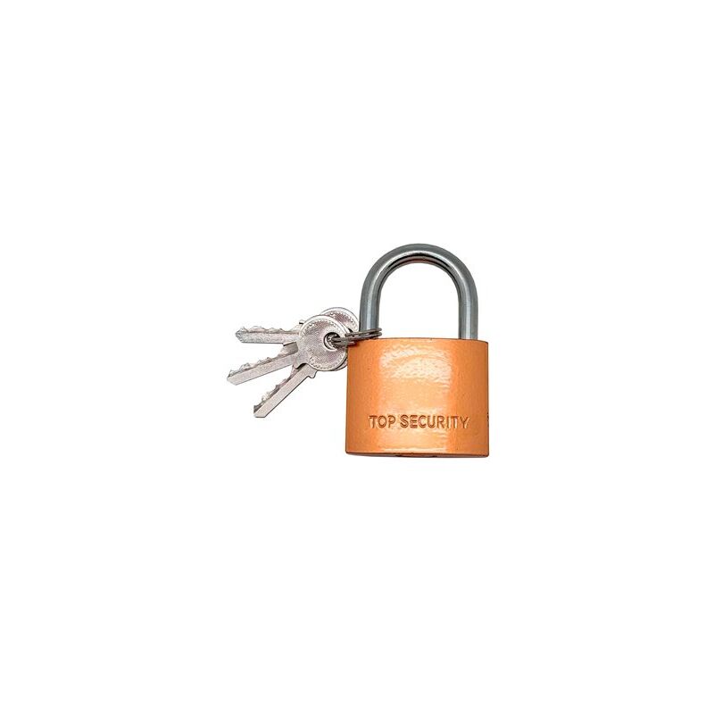 immagine 0 del prodotto lucchetto ad arco basic cn17 da 30 mm con arco spesso 4,5 mm in ottone include 2 chiavi 