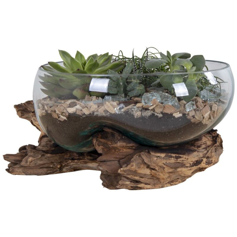 foto del prodotto epikasa terrario san, vetro, legno, metallo, marrone, 26x26x20 cm