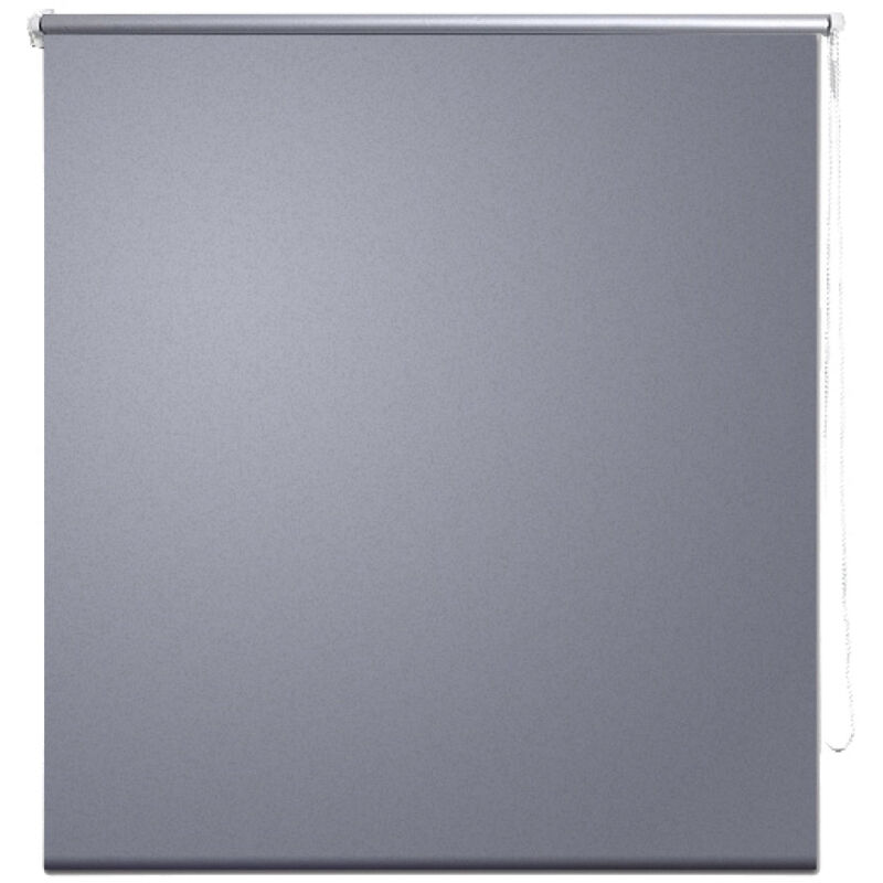 foto del prodotto tenda a rullo oscurante grigia 60 x 120 cm tenda per finestra frangivista tapparella