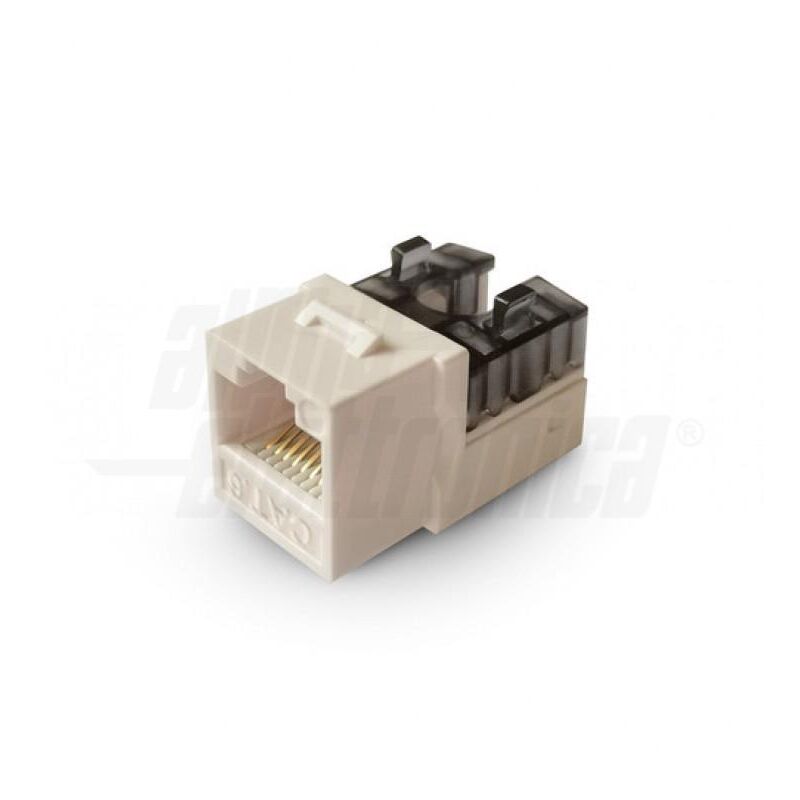 immagine 0 del prodotto presa keystone colore bianco 8p8c rj45 non schermata cat.6 utp connessione 110 idc alpha elettronica 96 116 1