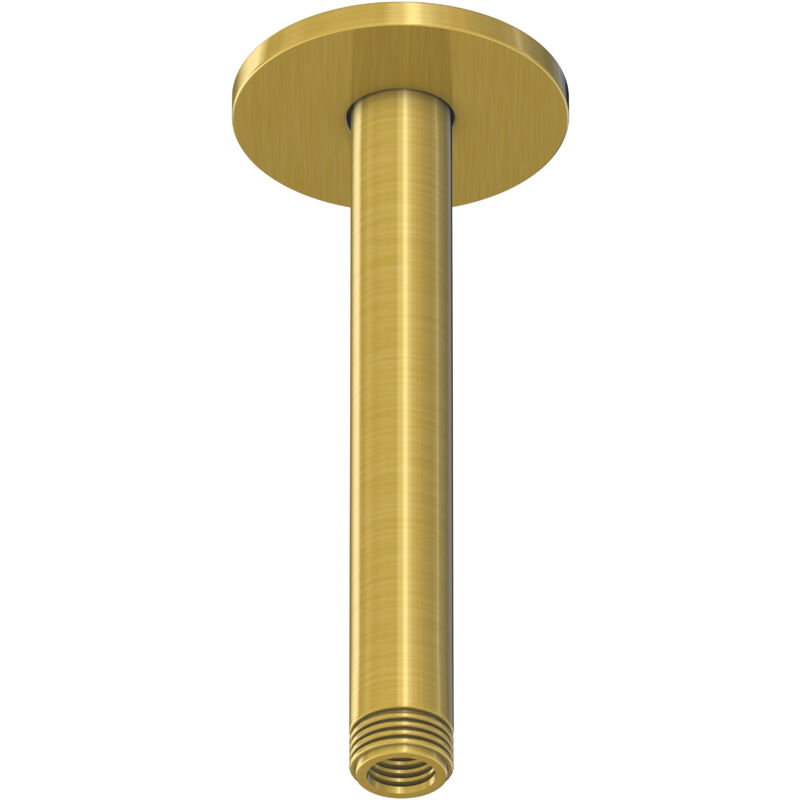 foto del prodotto steinberg s rie 100 bras de douche, montage au plafond, 120mm,
