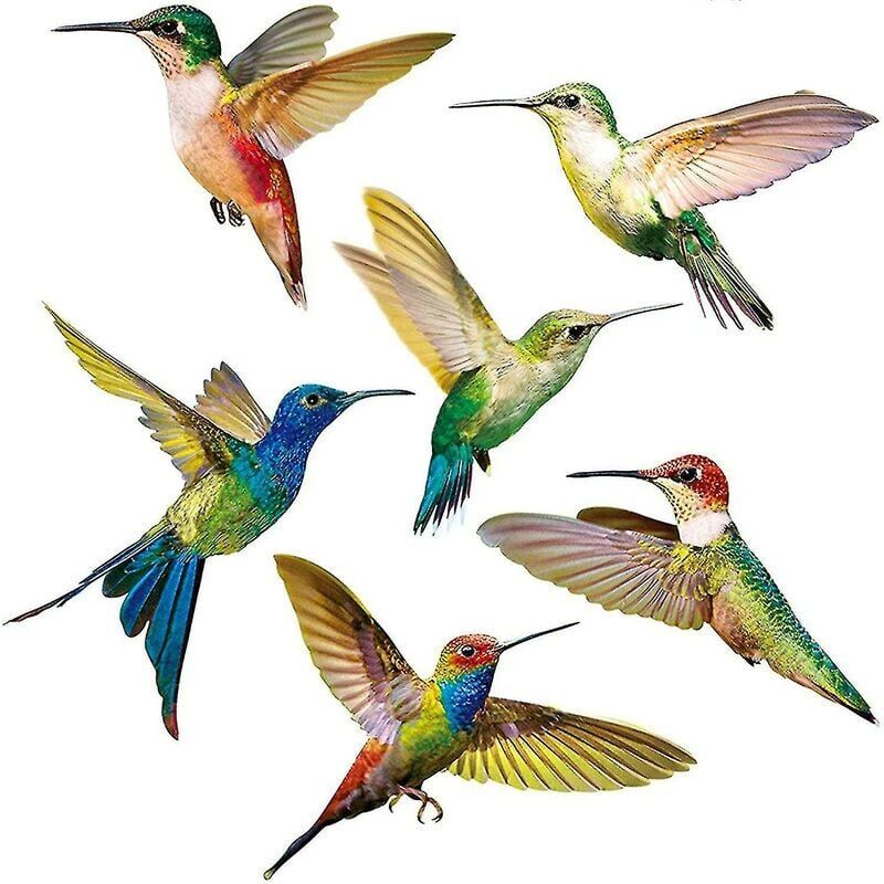 foto del prodotto pezzi adesivo per finestra anticollisione adesivo per finestra colibr adesivo per finestra uccello adesivo per vetro