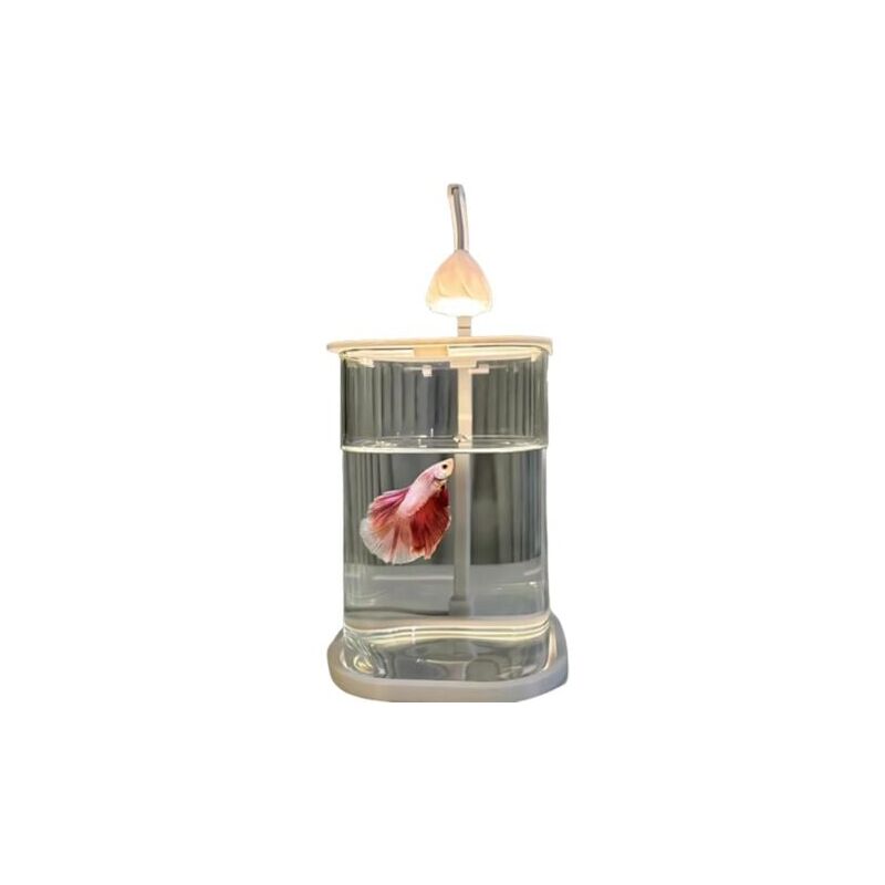 foto del prodotto snq acquario da tavolo creativo led a risparmio energetico in vetro alimentato tramite usb micro paesaggio ecologico curativo per acquario