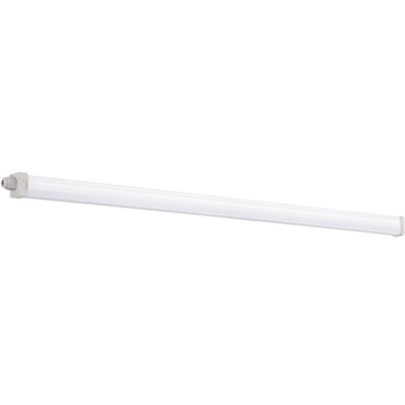 foto del prodotto 40w 1235mm ip65 bianco naturale