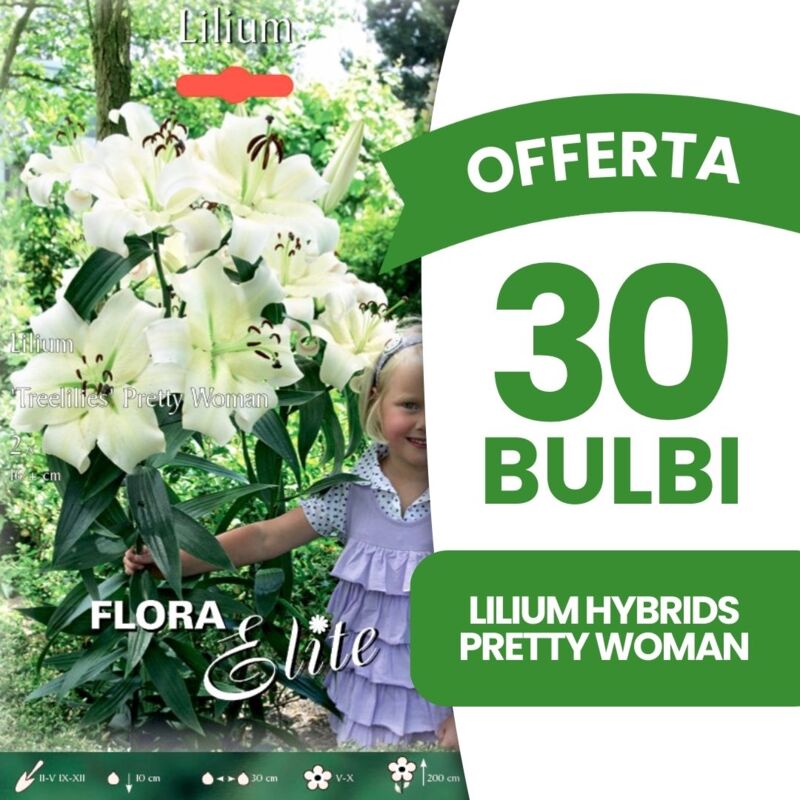 foto del prodotto peragashop offerta 30 bulbi lilium hybrids pretty woman autunnali bulbs bulbes