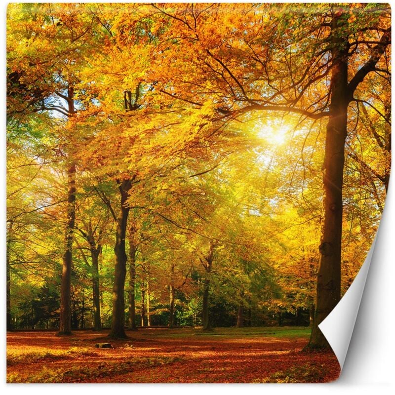 foto del prodotto carta da parati, pietre zen di bamb nella spa 250x250