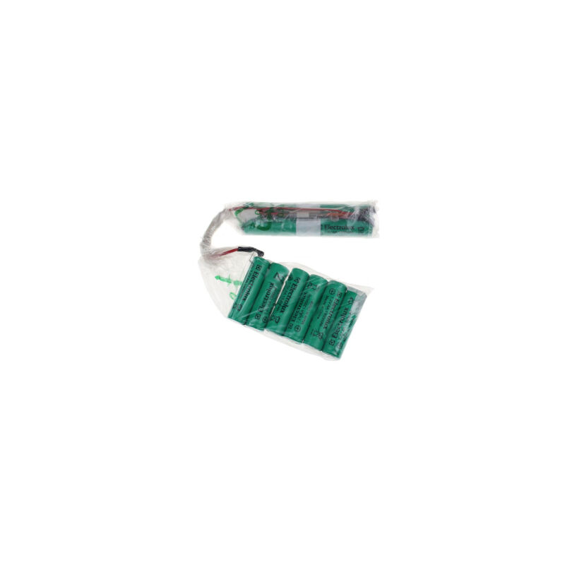 foto del prodotto kit batteria ergo rapido per aspirapolvere electrolux