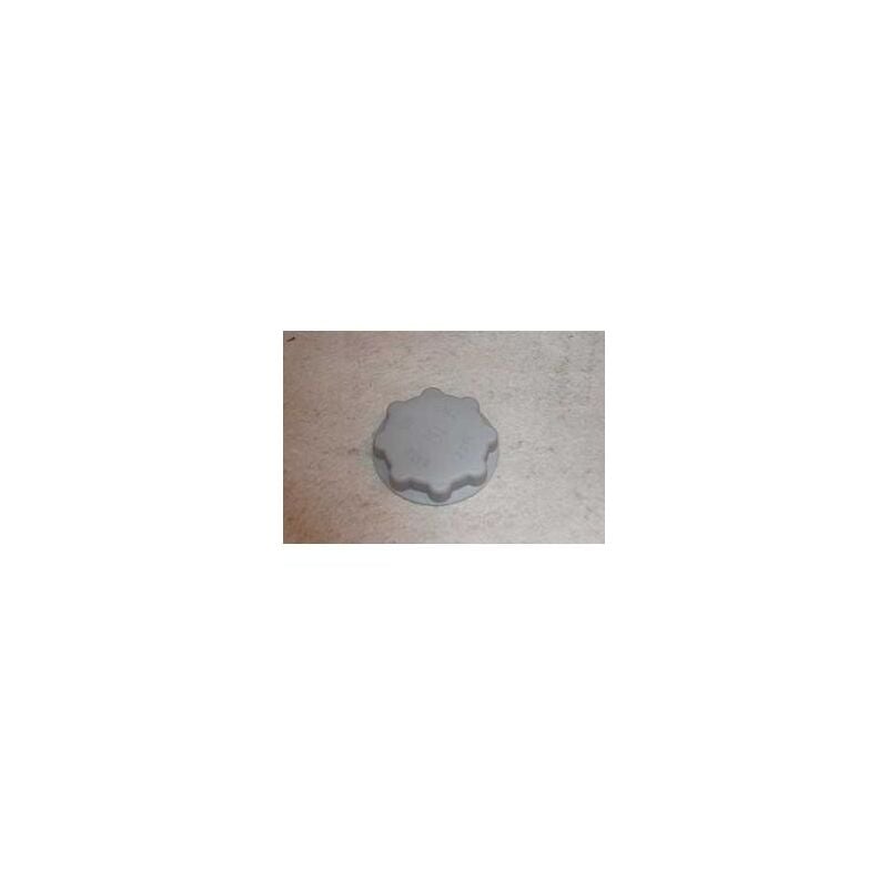 foto del prodotto tappo serbatoio del sale originale lavastoviglie ariston hotpoint hotpoint 3030983662894779423