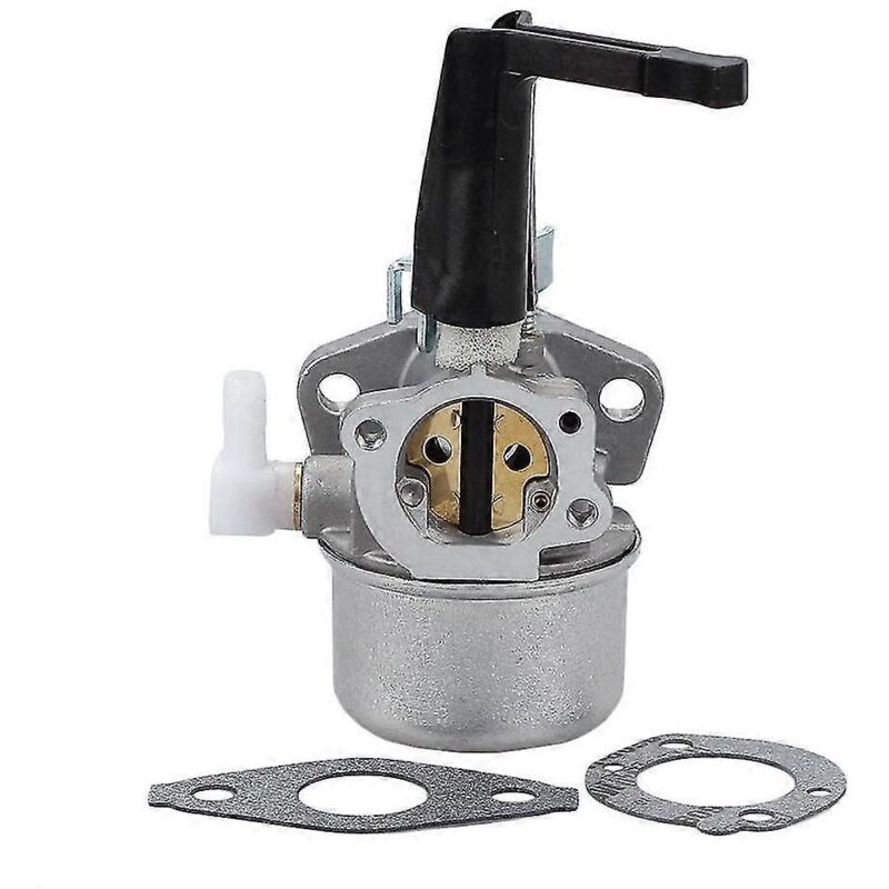 foto del prodotto 696065 carburatore 110402 110412 697422 carburatore kit guarnizione carburatore alovez