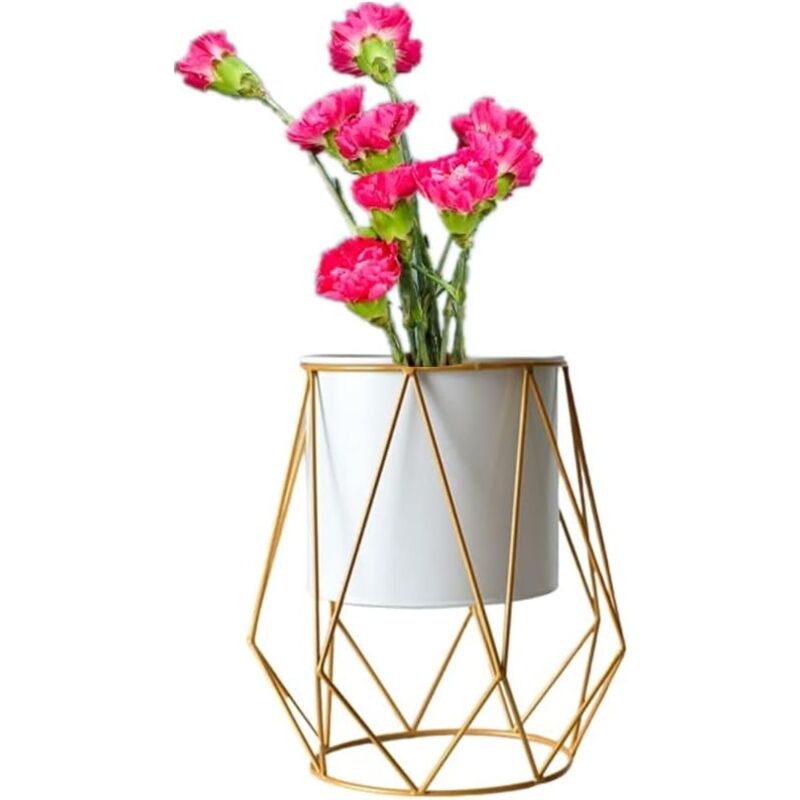 foto del prodotto zvd metal plant stand with flower pot for succulent plants indoor outdoor metal stand white 