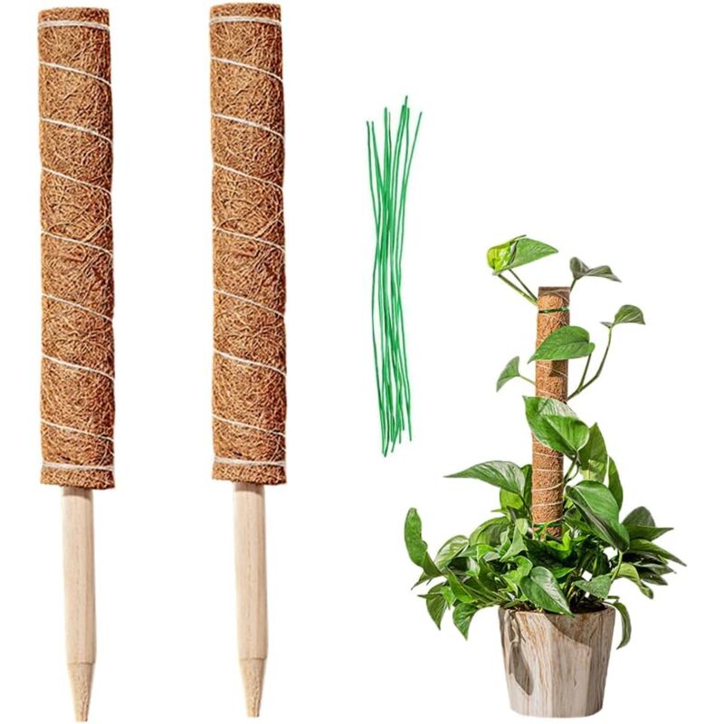 foto del prodotto 2 pieces coir stake, coir plant stake, climbing plant stake, coir pole coir stick for home garden plant climbers plant support extension 40cm 