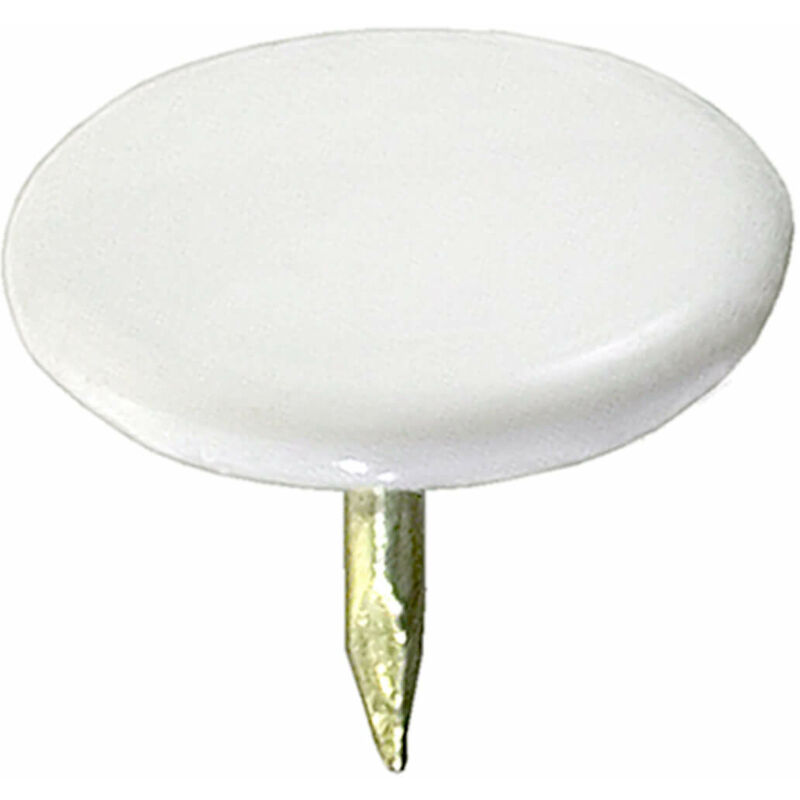 foto del prodotto puntine disegno plast.blu blister