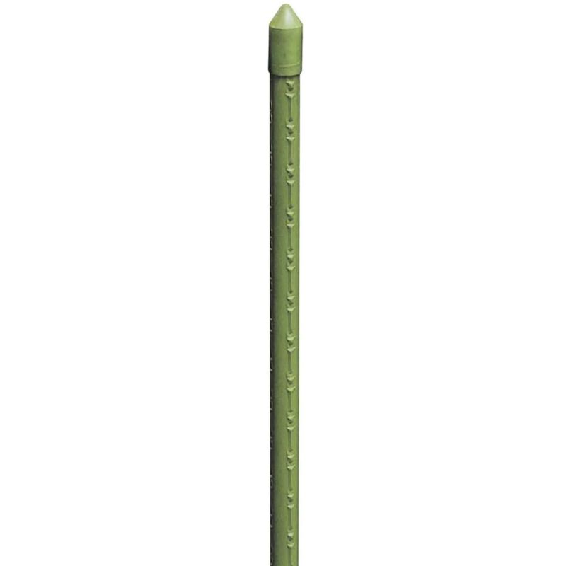 foto del prodotto cannetta metallo plastificato 240cm 18mm verde